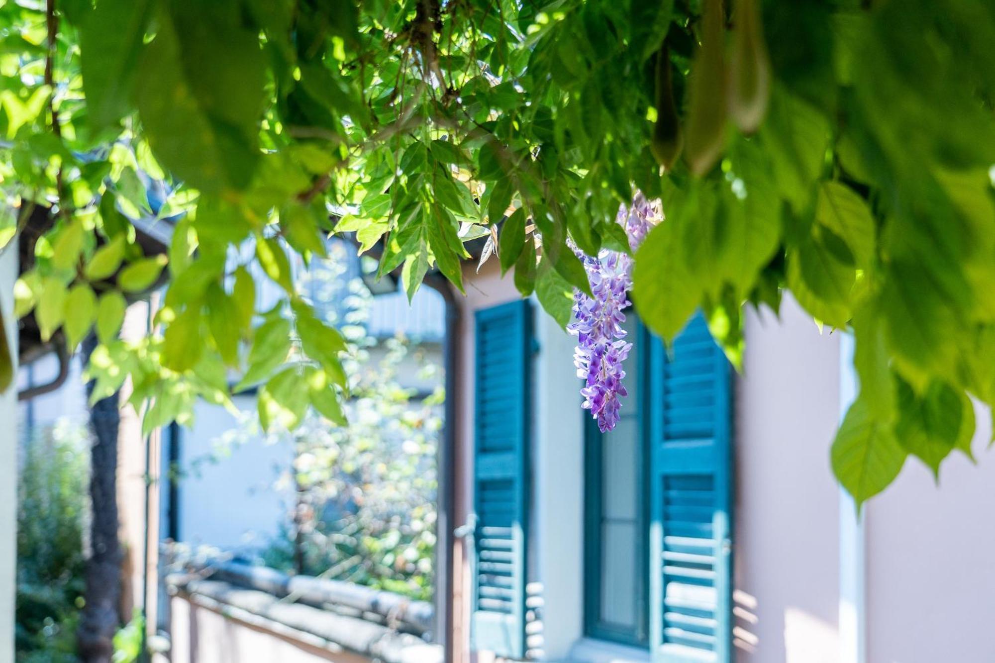 Seven Boutique Hotel Ascona Dış mekan fotoğraf